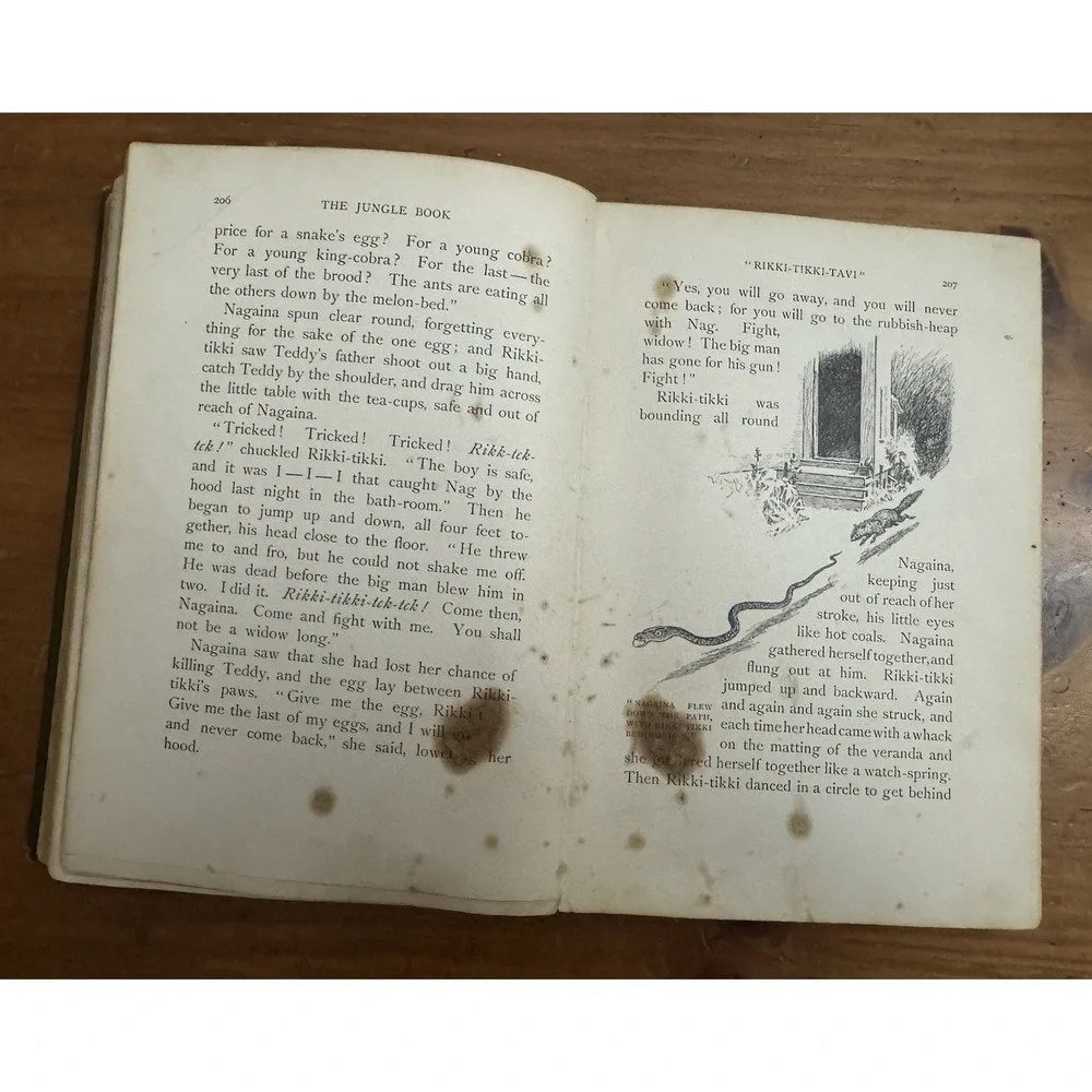 The JUNGLE Book by RUDYARD KIPLING 1894 Print 1st Edition Children's Collectible